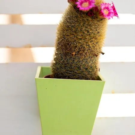 Casa Ginebras Апартаменты *