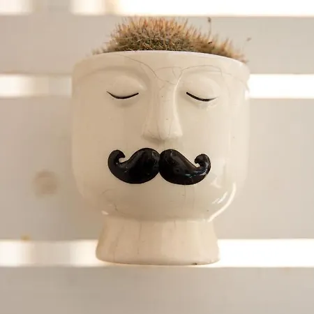 Διαμέρισμα Casa Ginebras *