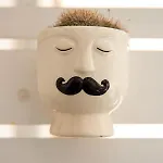 Lejlighed Casa Ginebras *