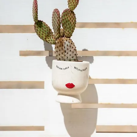 Casa Ginebras * Bari